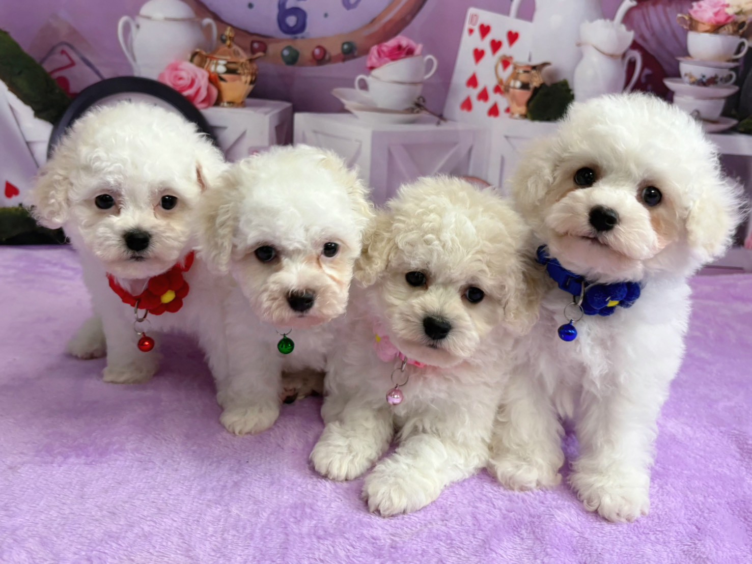 赤ちゃん写真3-3