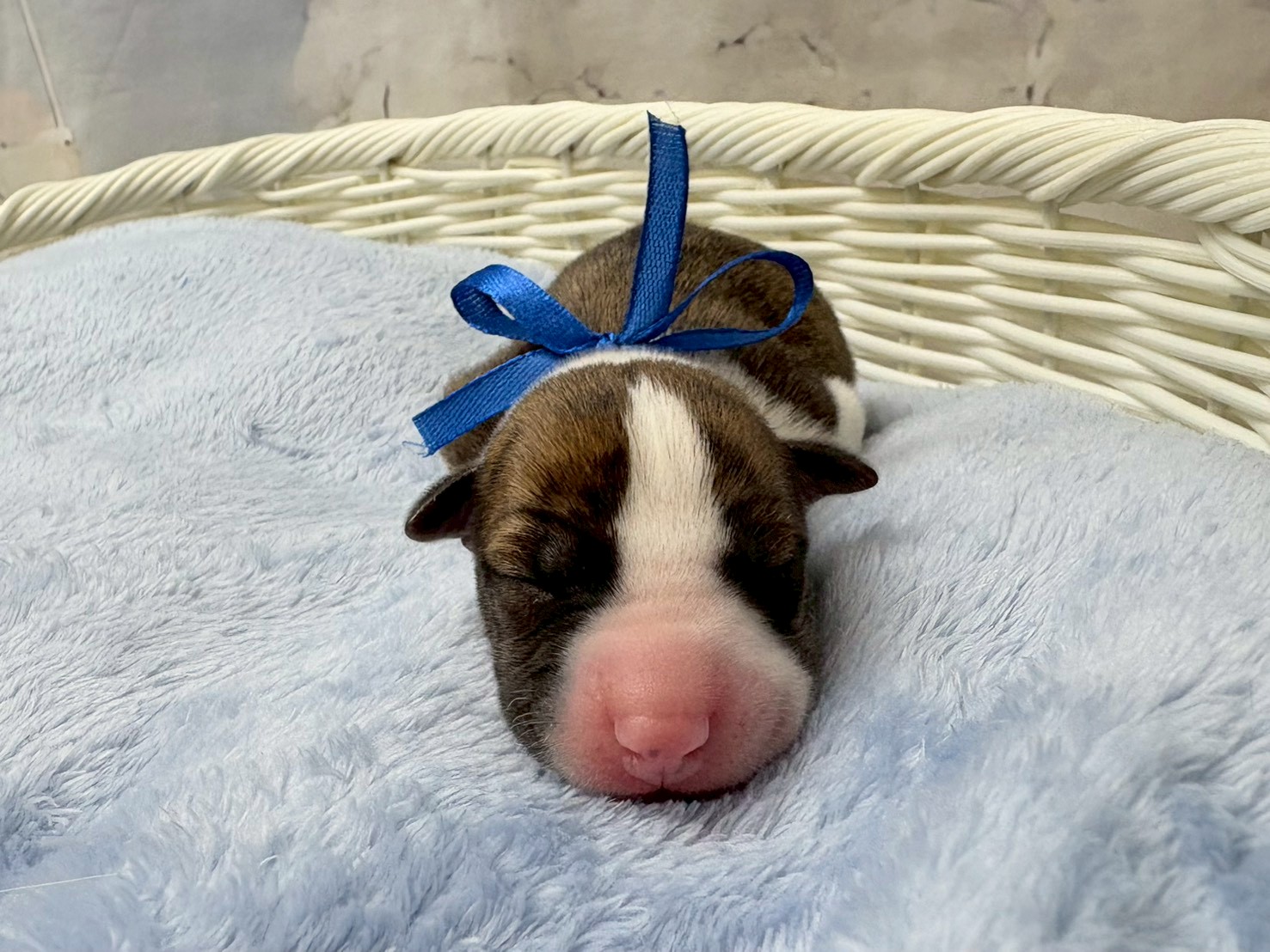 赤ちゃん写真1-1