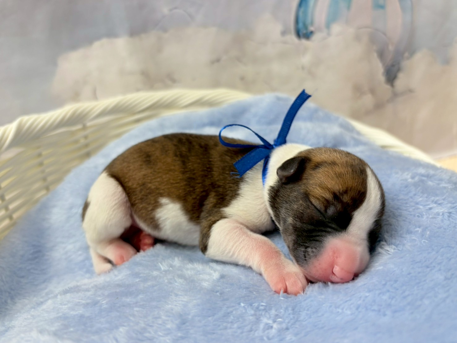 赤ちゃん写真1-2