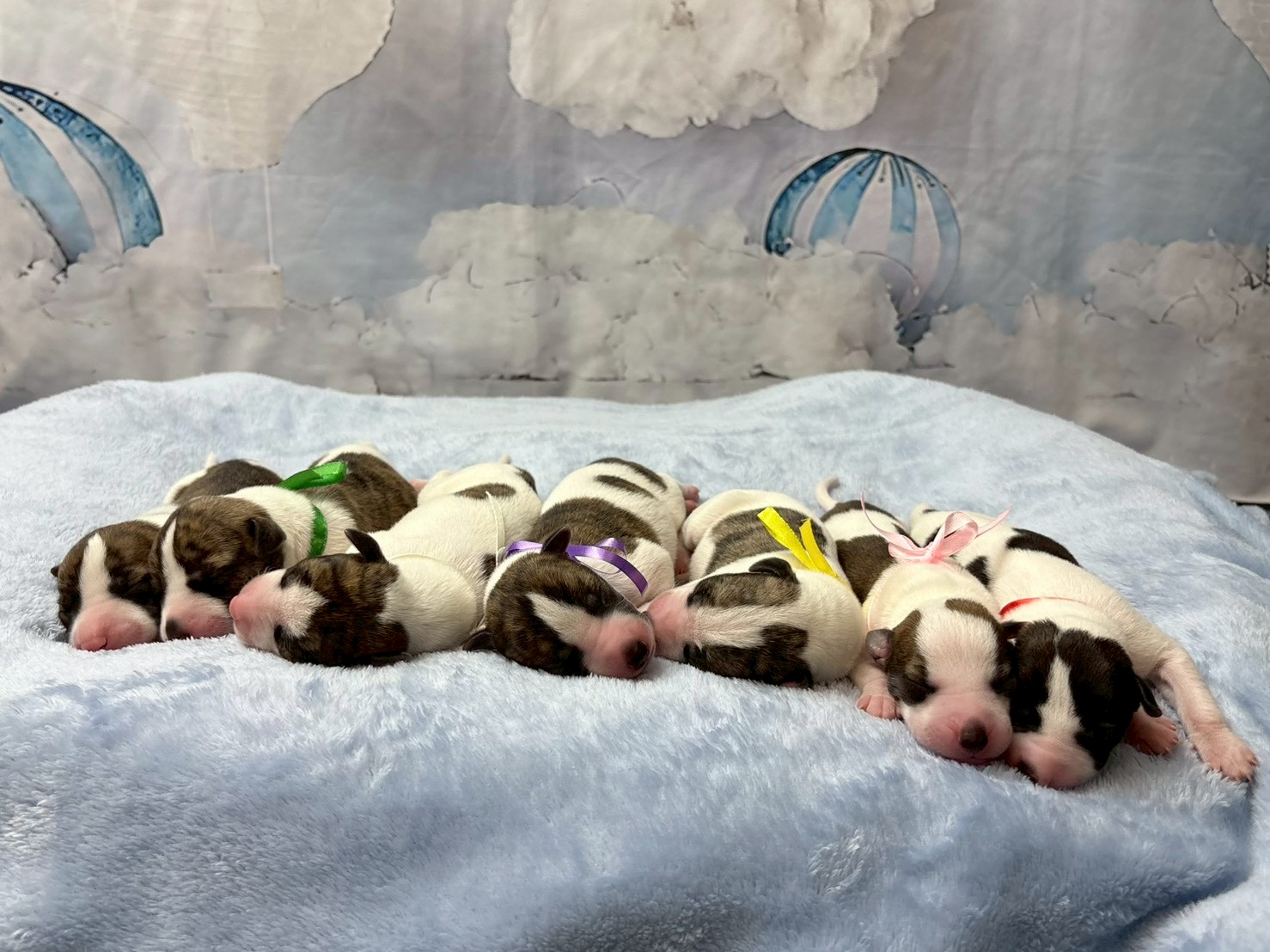 赤ちゃん写真1-3