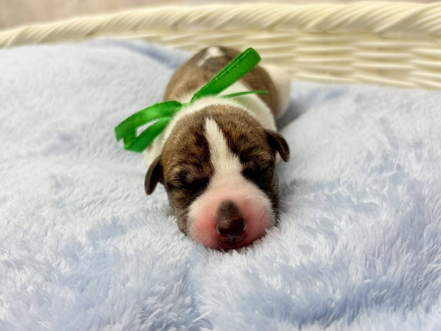 赤ちゃん写真1-1