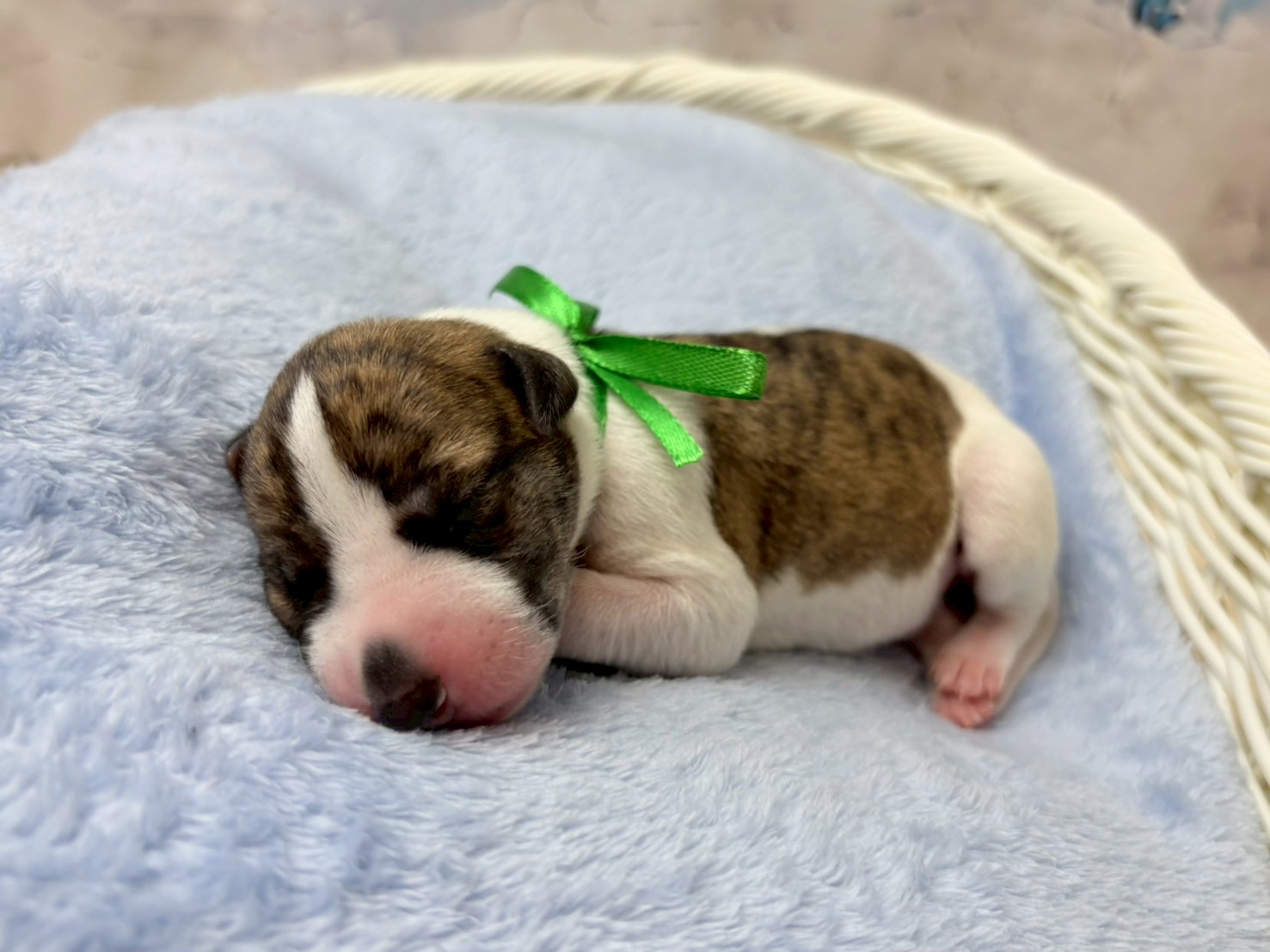 赤ちゃん写真1-2