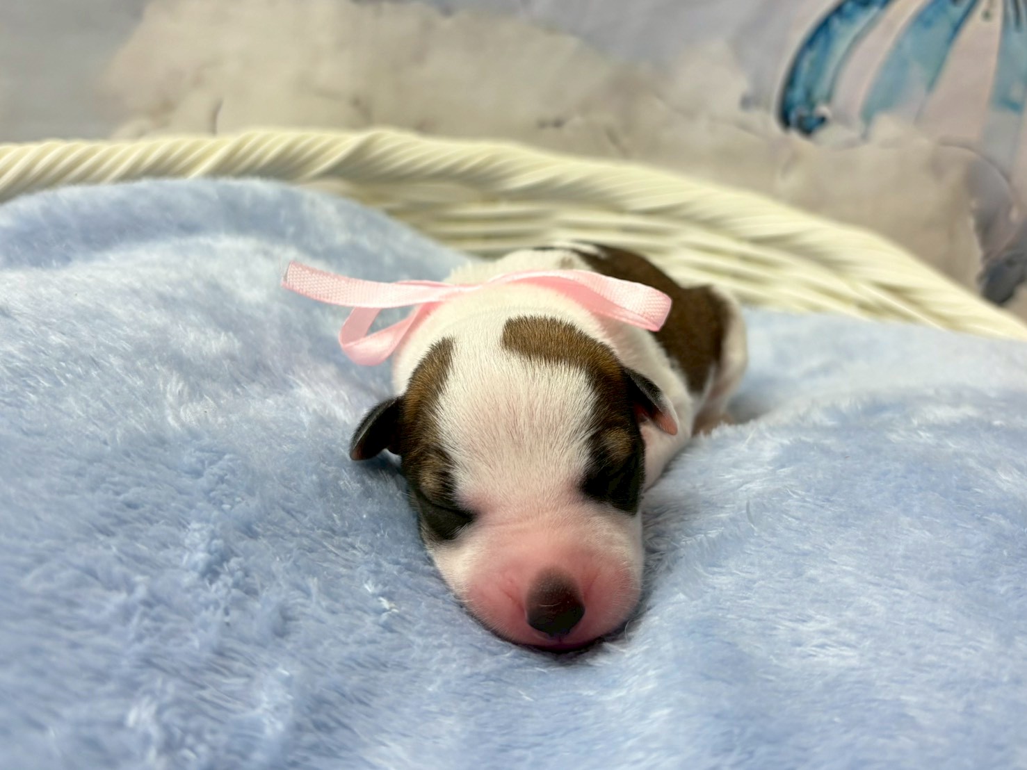 赤ちゃん写真1-1