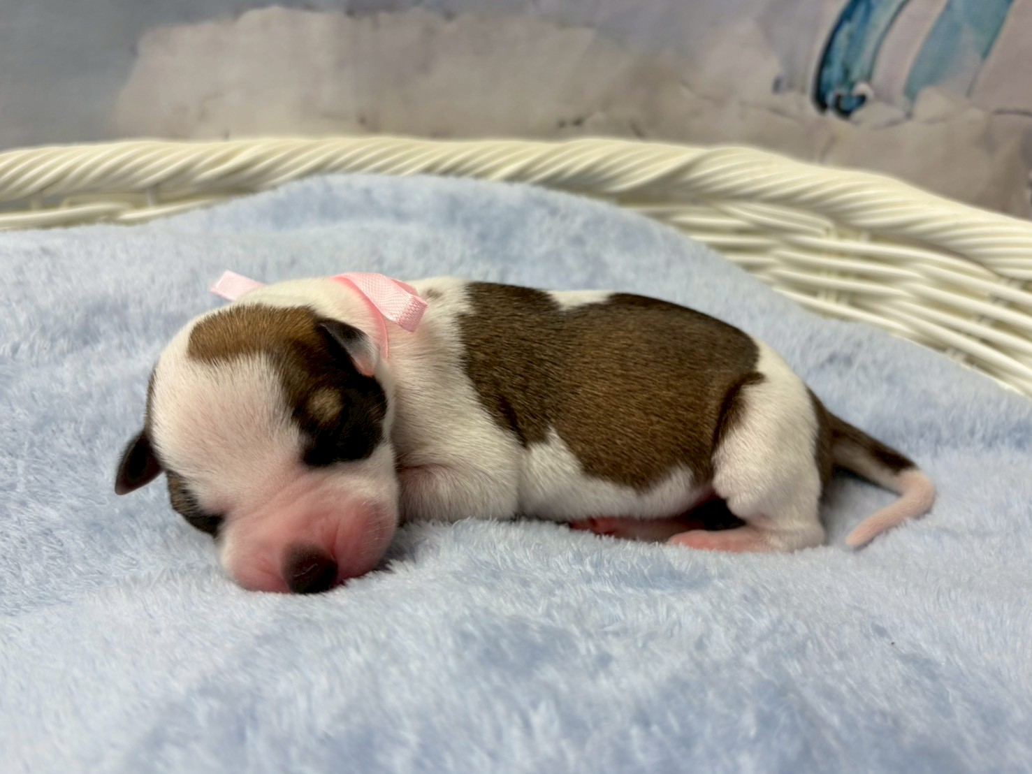 赤ちゃん写真1-2