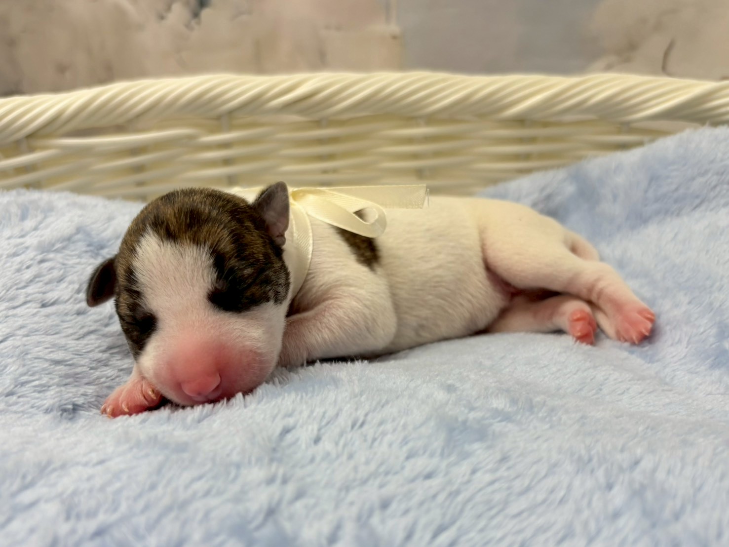 赤ちゃん写真1-2