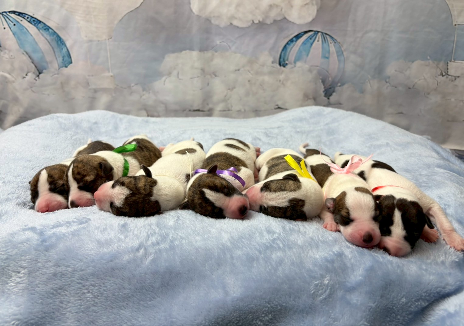 赤ちゃん写真1-3