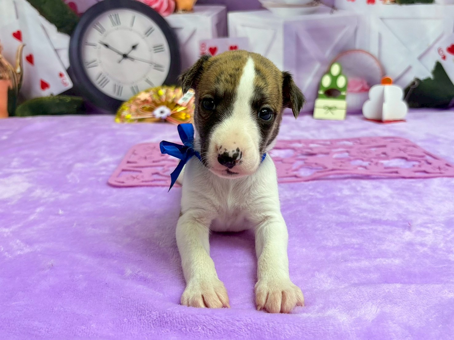 赤ちゃん写真2-1