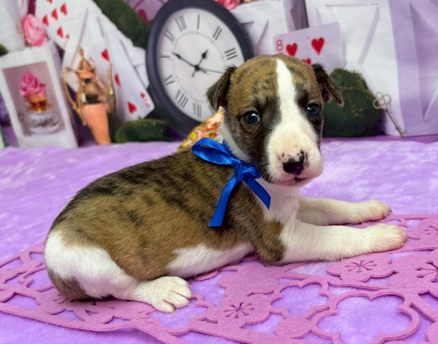 赤ちゃん写真2-2