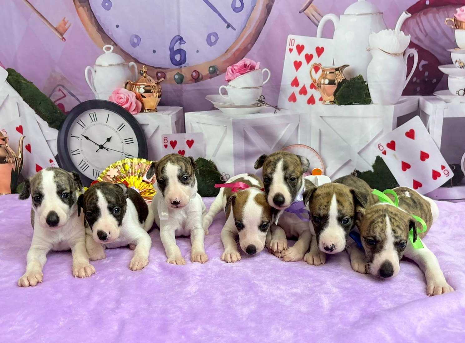 赤ちゃん写真2-3