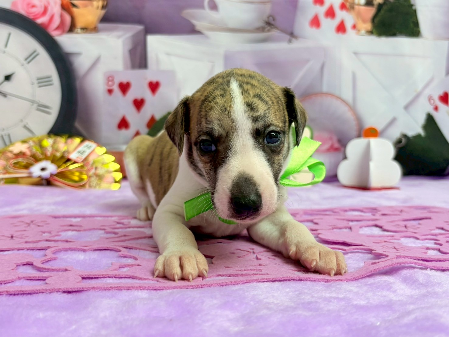 赤ちゃん写真2-1