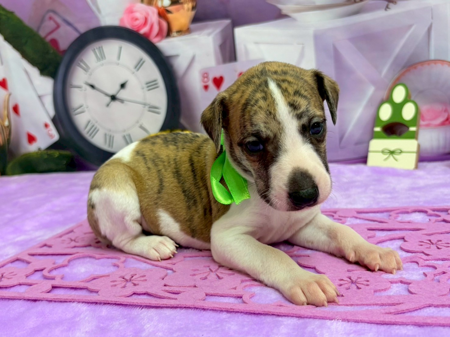 赤ちゃん写真2-2