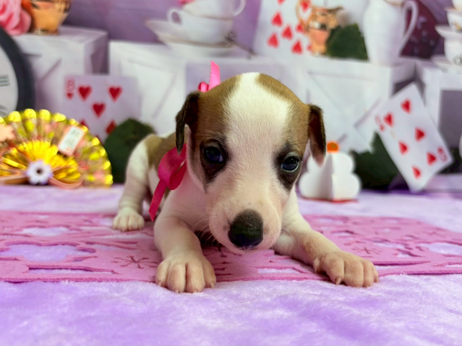 赤ちゃん写真2-1