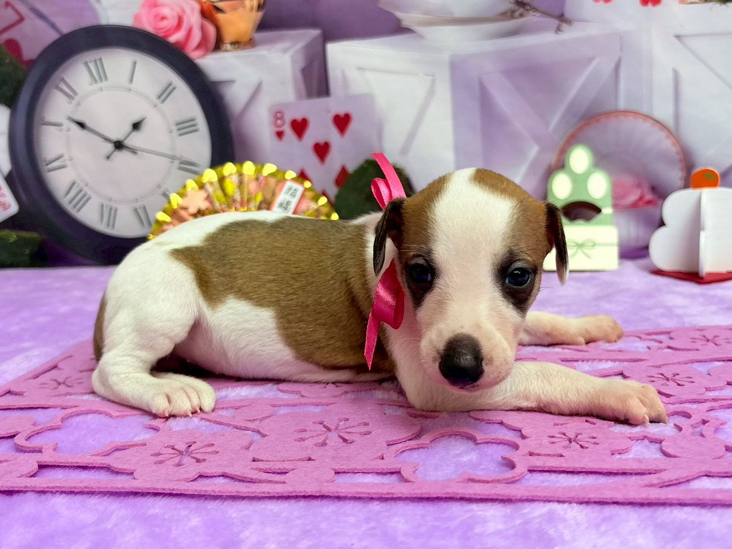 赤ちゃん写真2-2