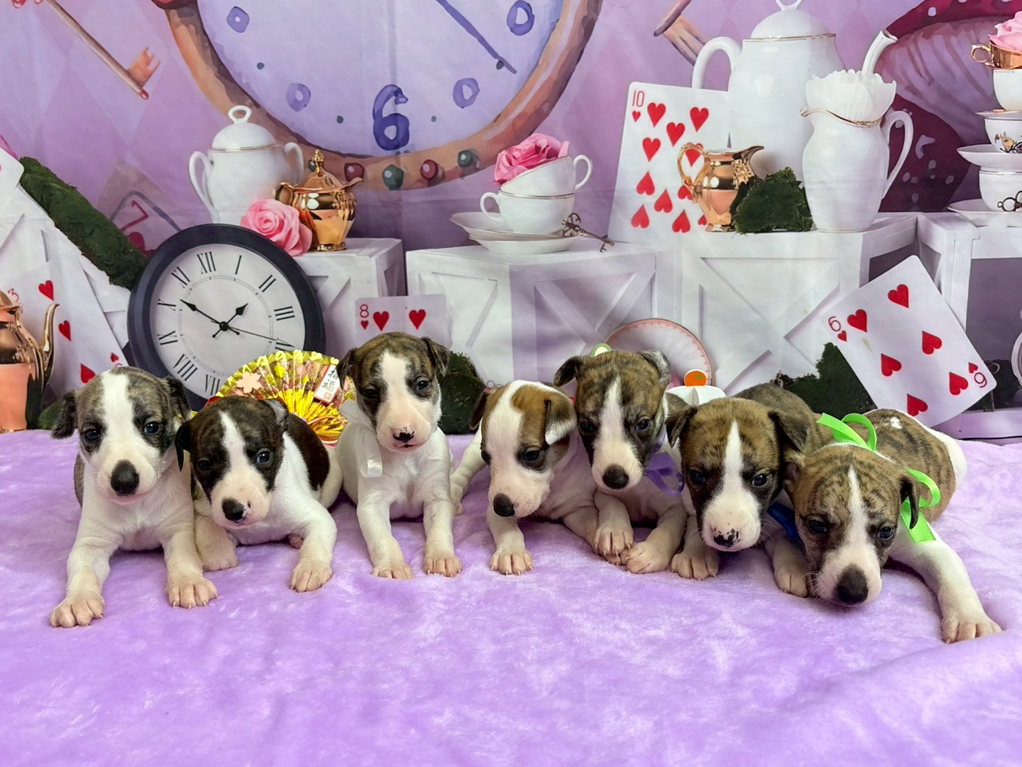 赤ちゃん写真2-3