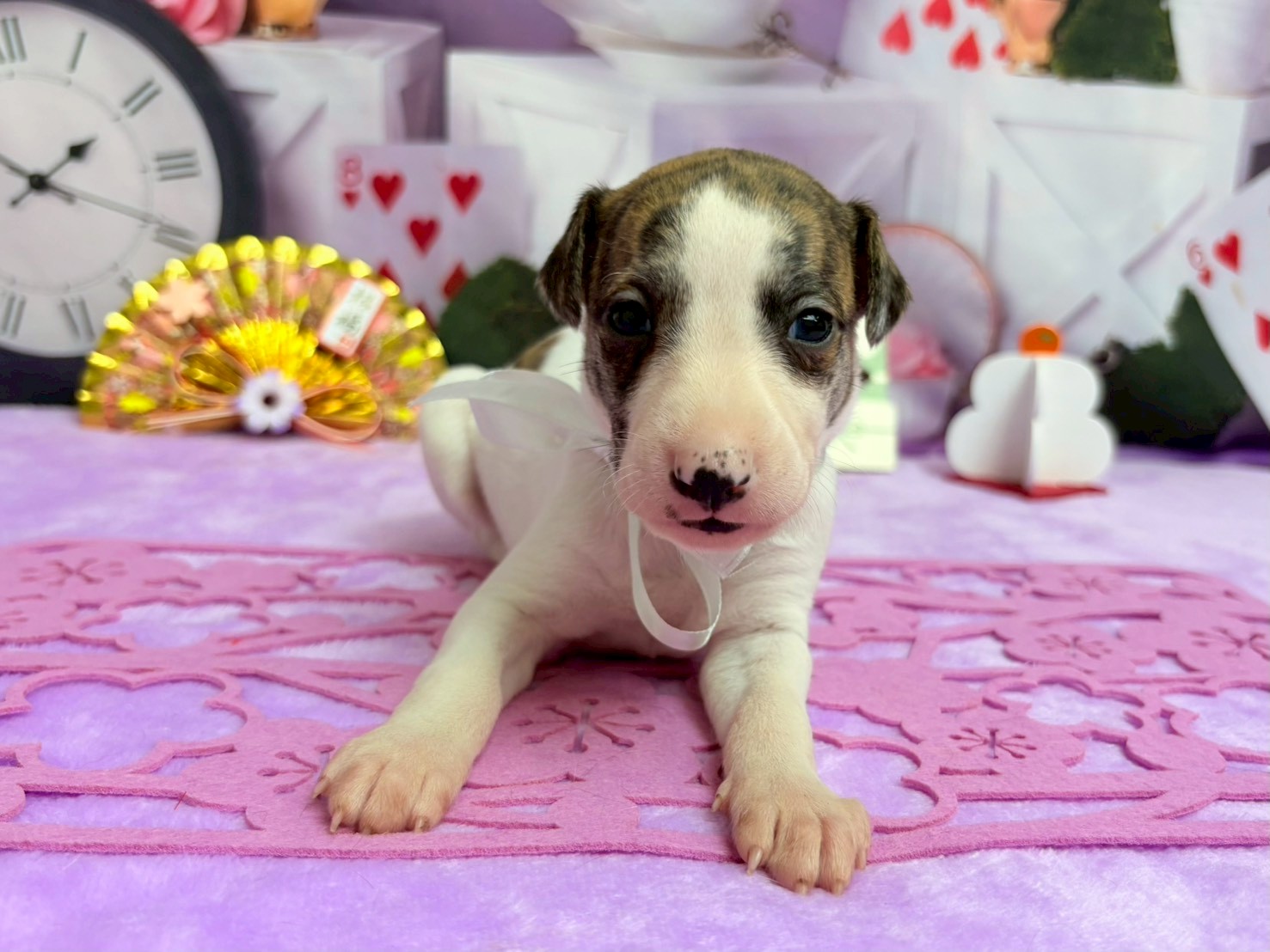 赤ちゃん写真2-1