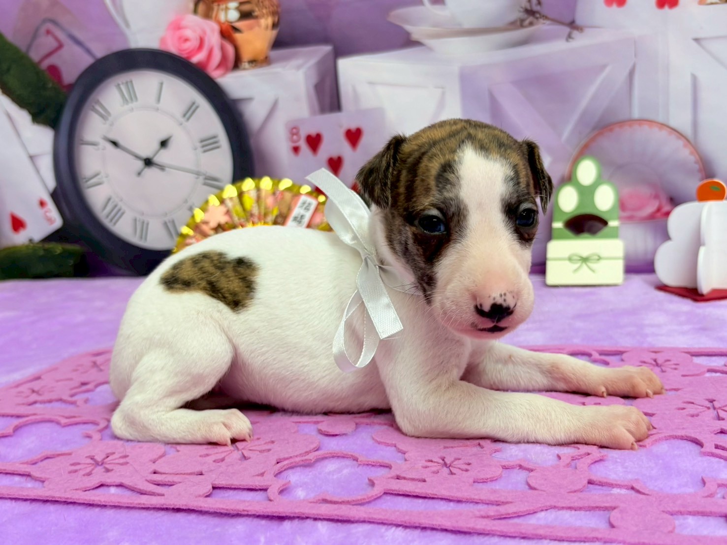 赤ちゃん写真2-2