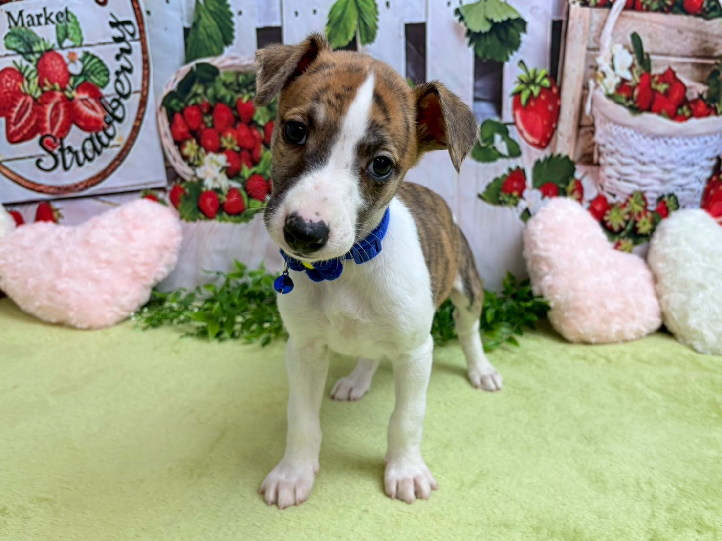 赤ちゃん写真3-1