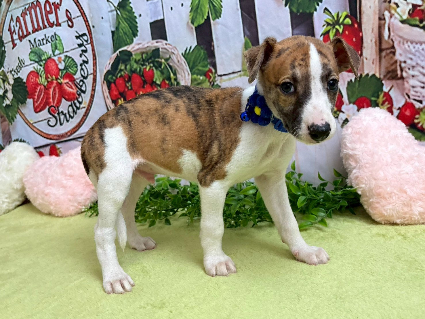 赤ちゃん写真3-2