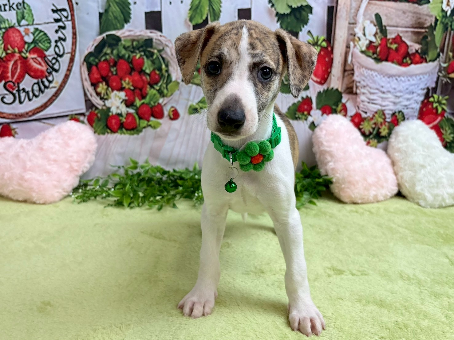 赤ちゃん写真3-1