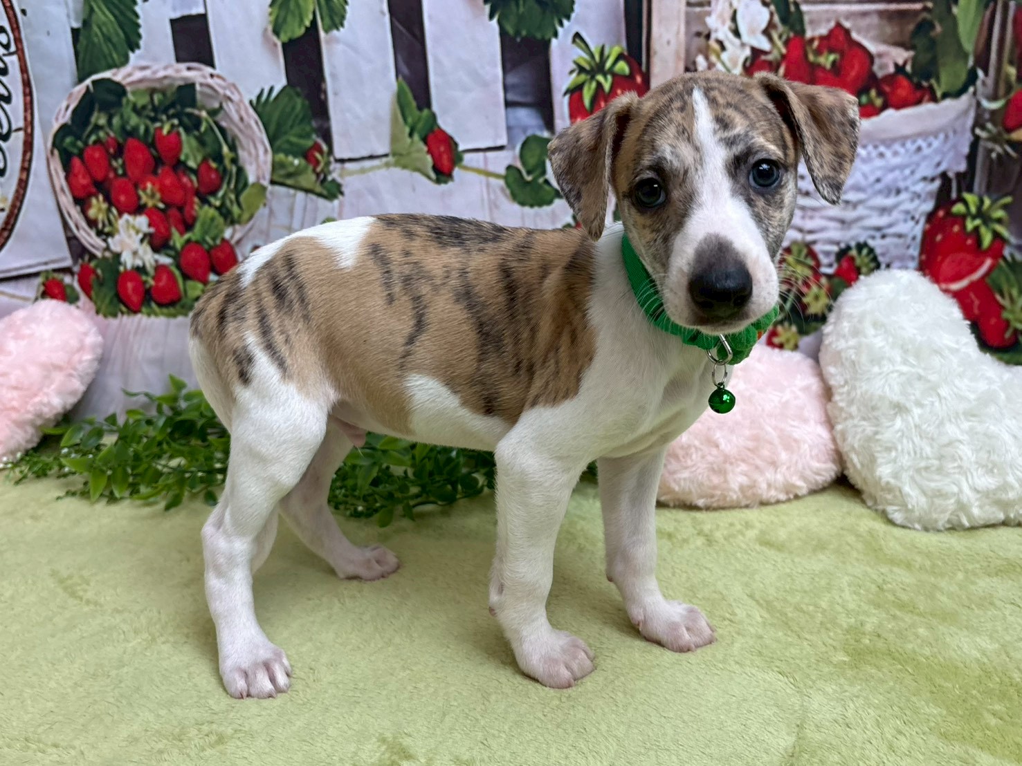 赤ちゃん写真3-2