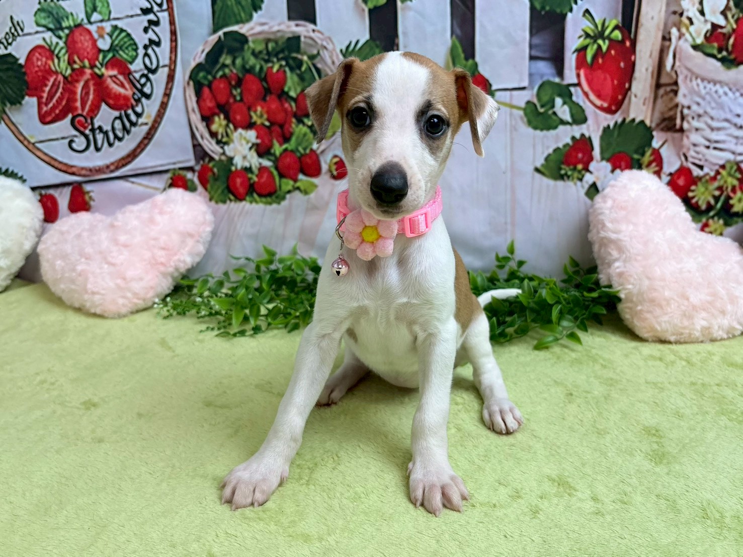 赤ちゃん写真3-1