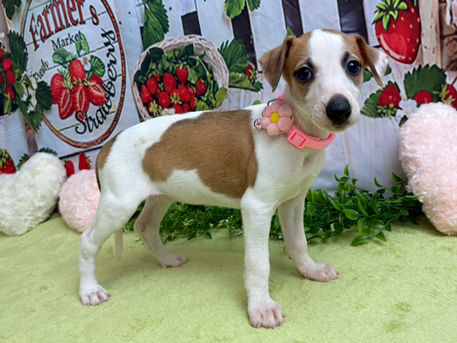 赤ちゃん写真3-2