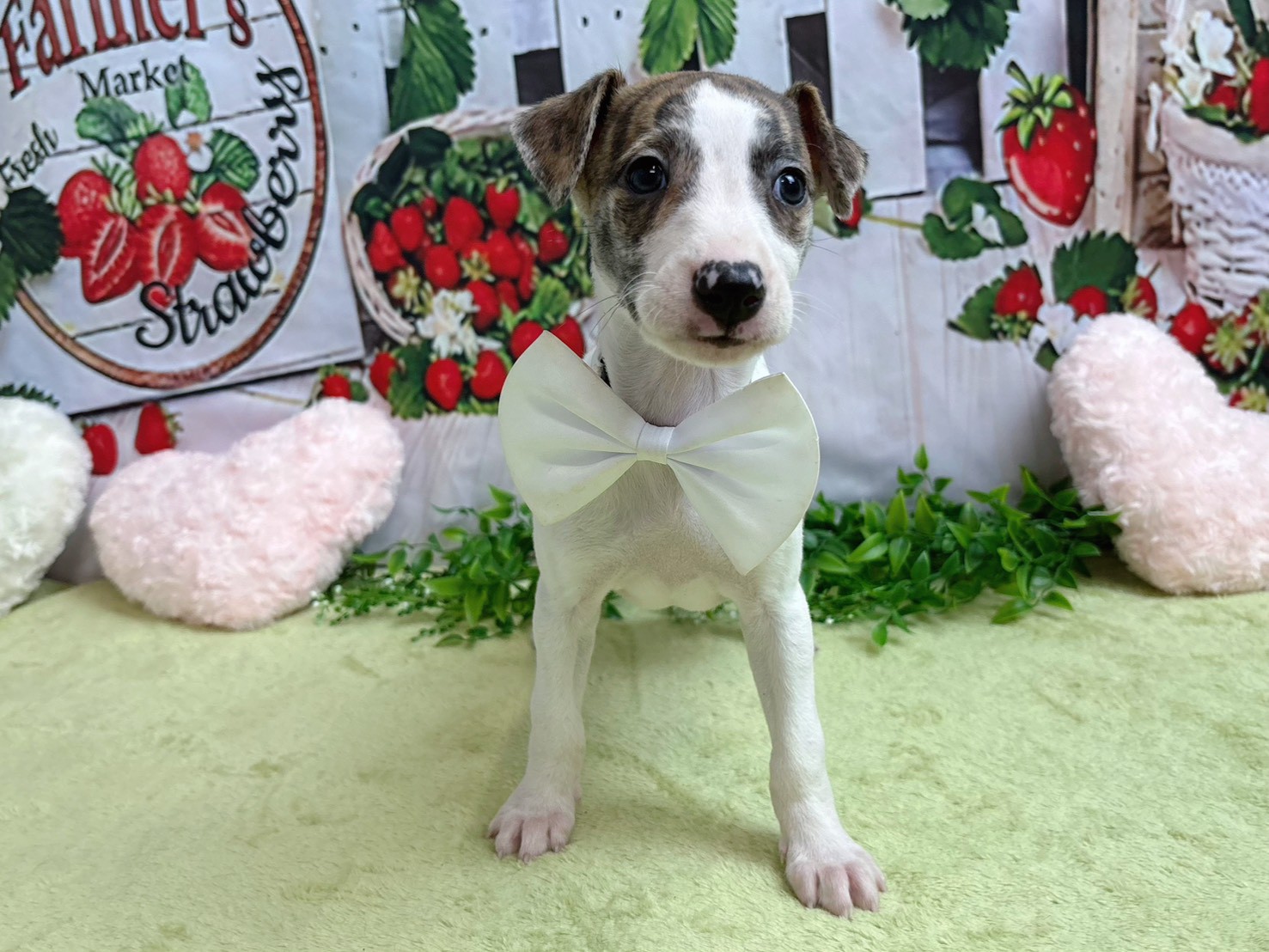 赤ちゃん写真3-1