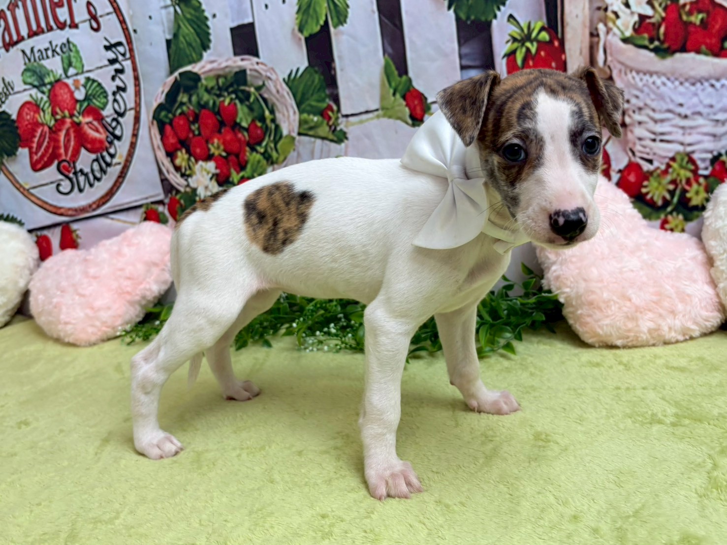 赤ちゃん写真3-2