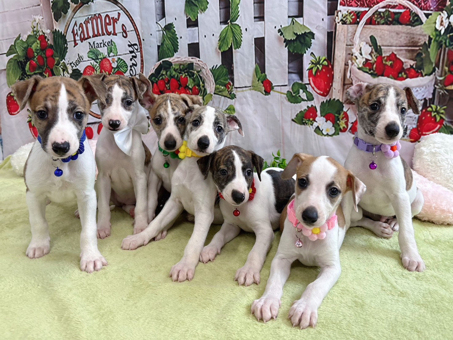 赤ちゃん写真3-3