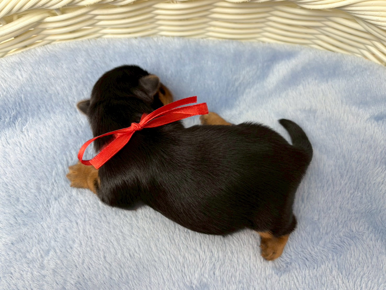赤ちゃん写真1-3