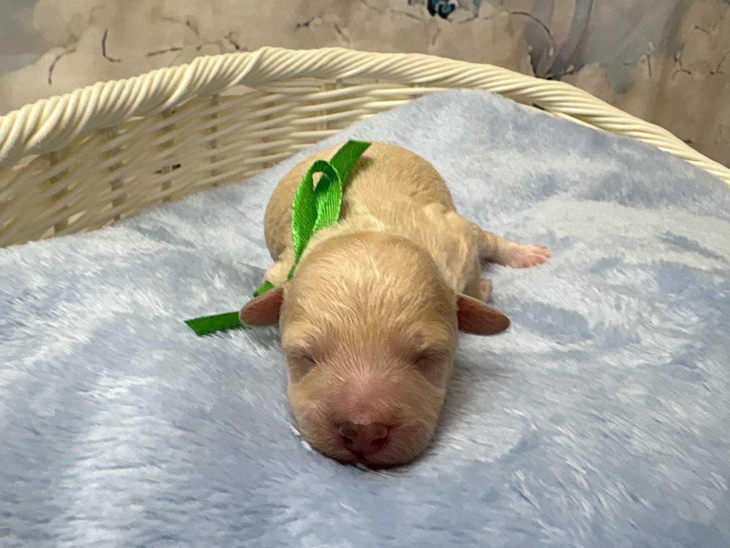 赤ちゃん写真1-1