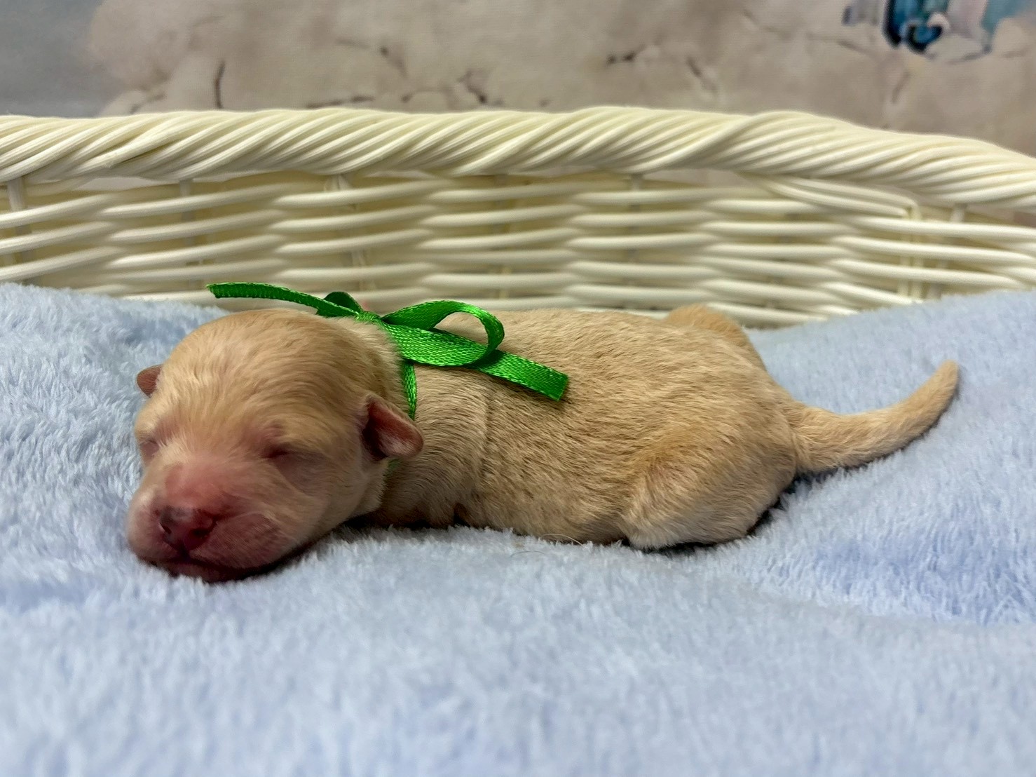 赤ちゃん写真1-2