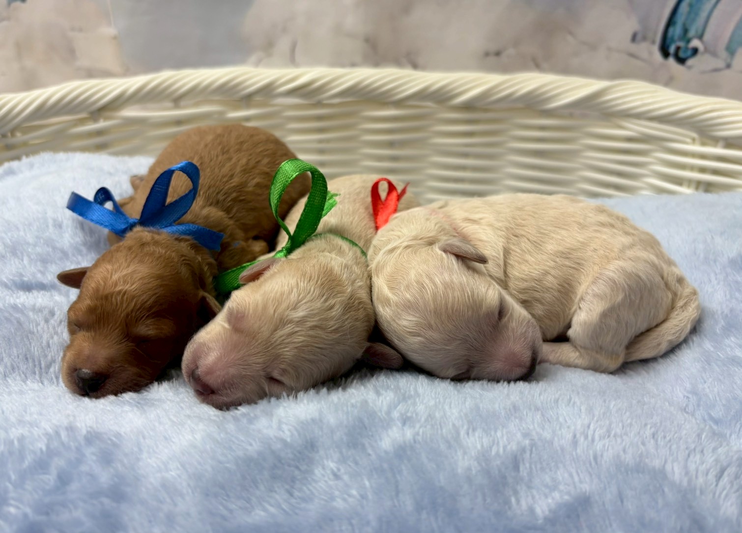 赤ちゃん写真1-3