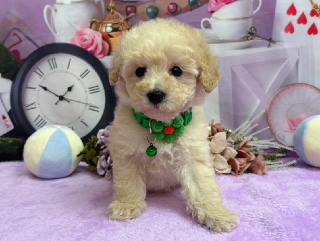 赤ちゃん写真3-1