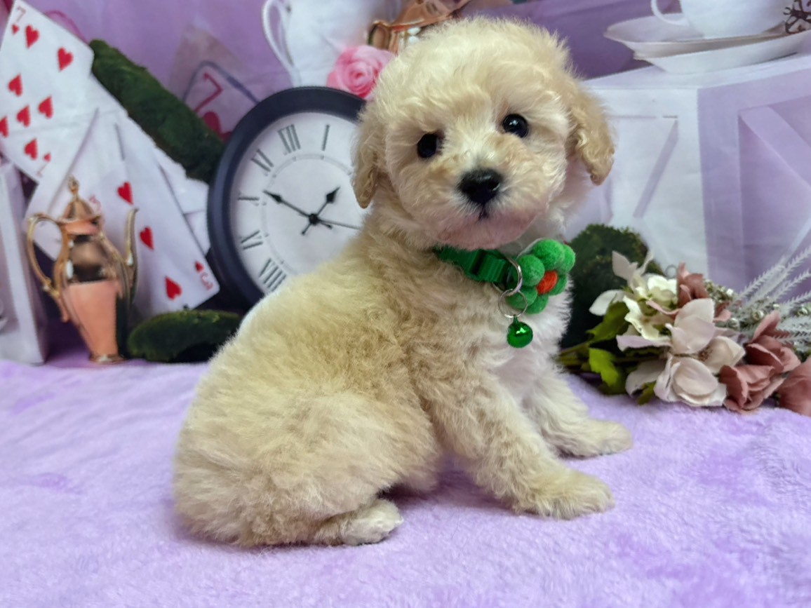 赤ちゃん写真3-2