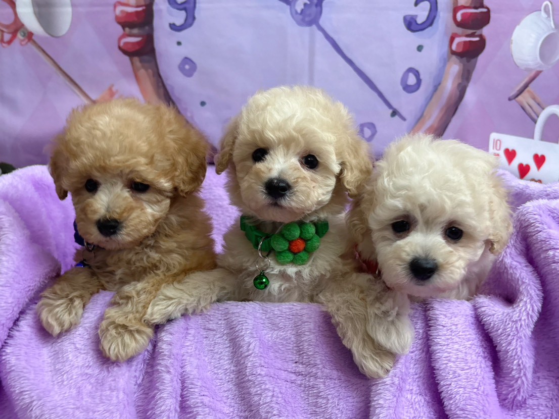 赤ちゃん写真3-3