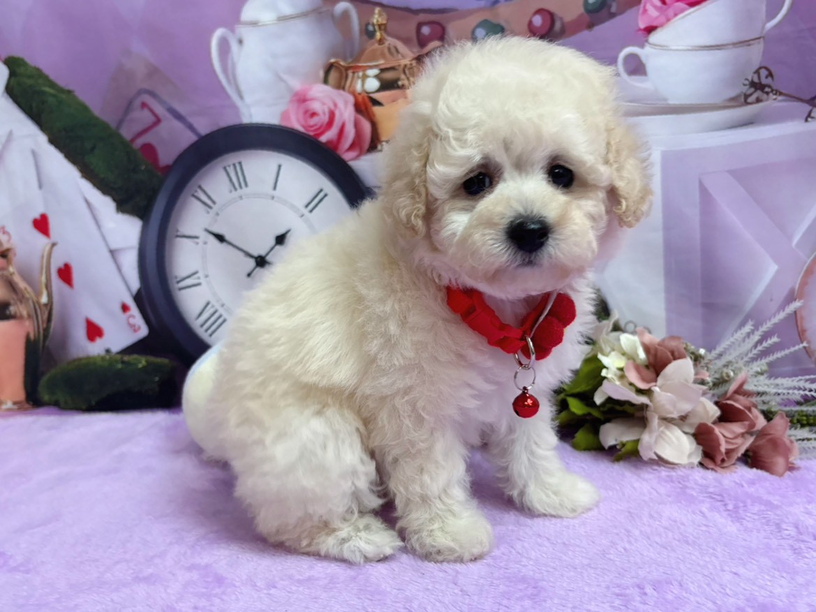 赤ちゃん写真3-2