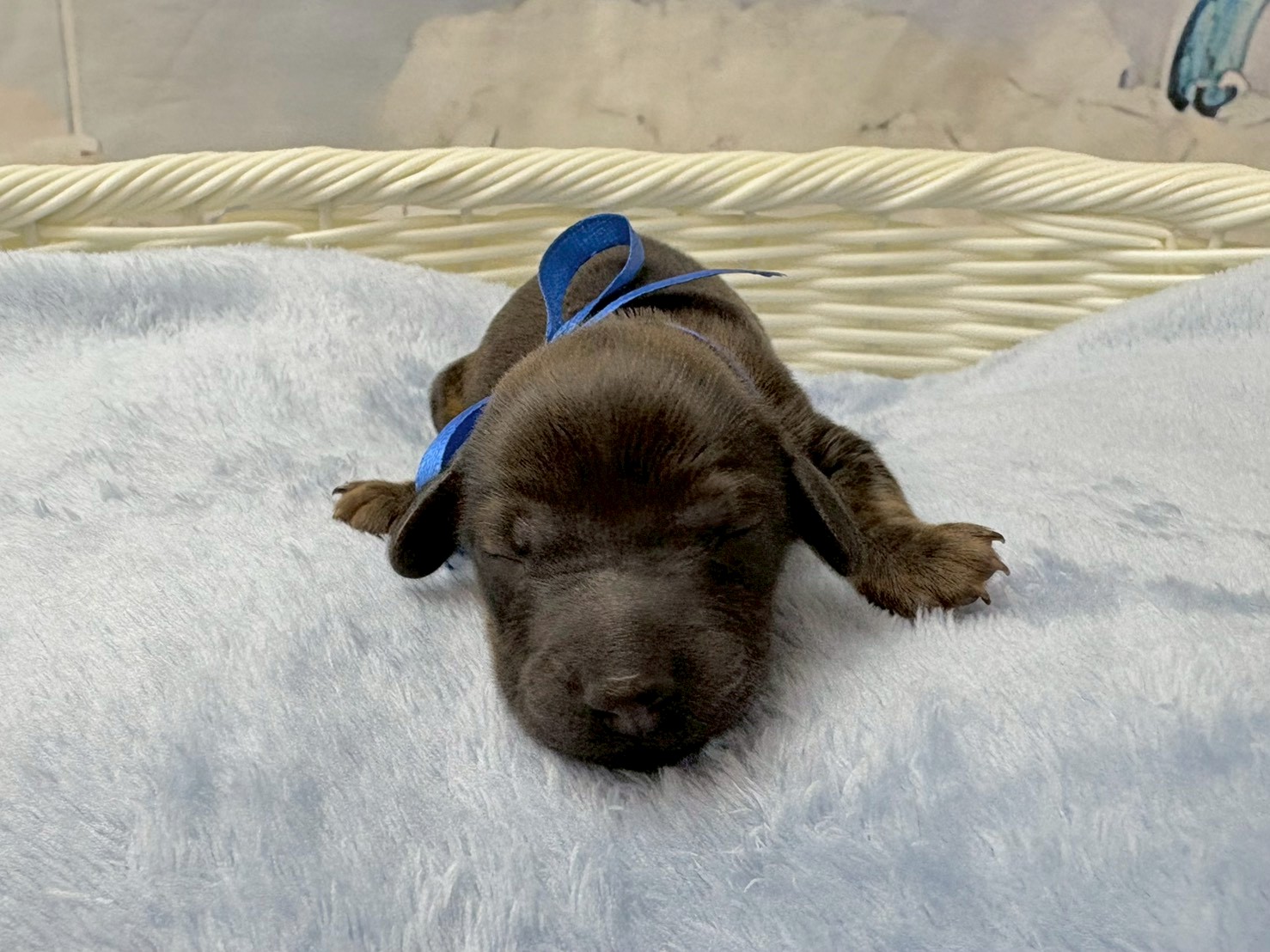 赤ちゃん写真1-1