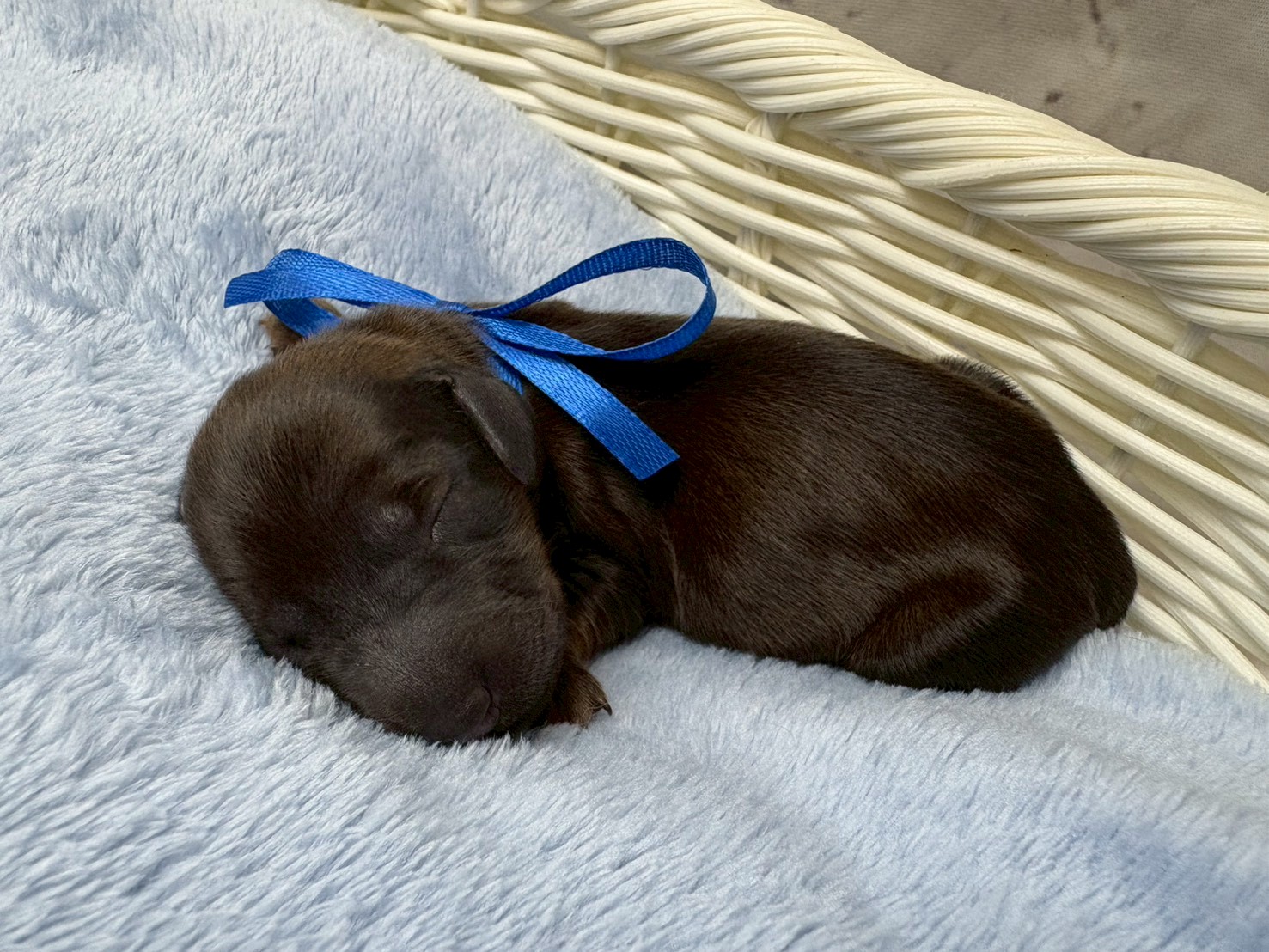 赤ちゃん写真1-2