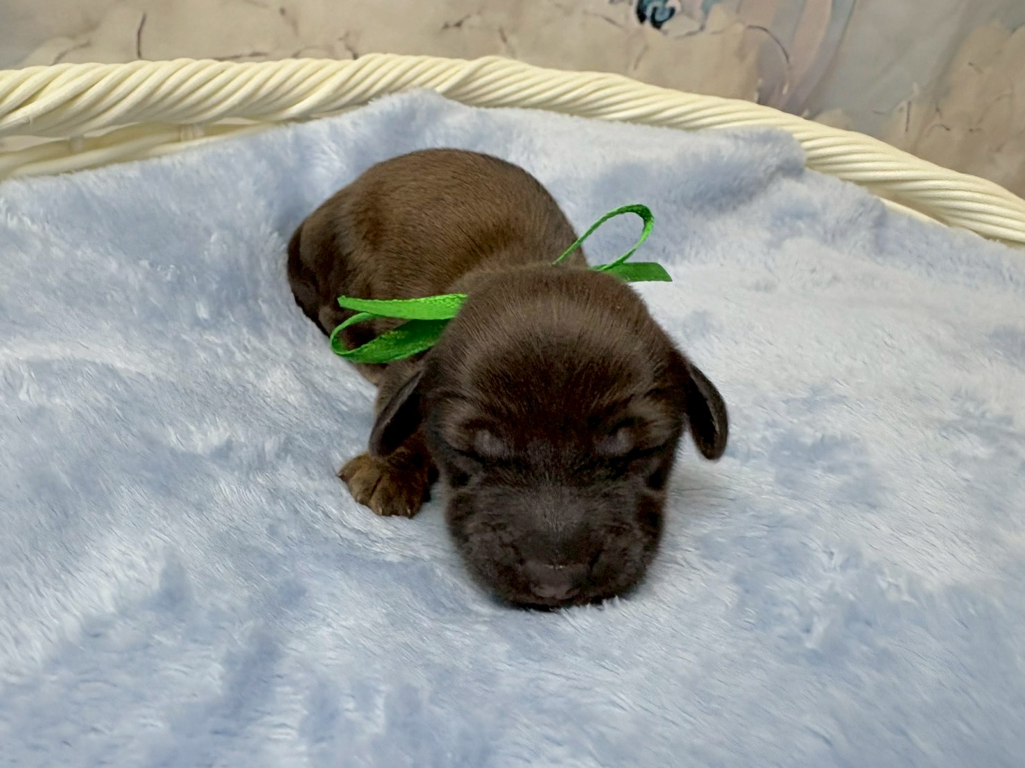 赤ちゃん写真1-1