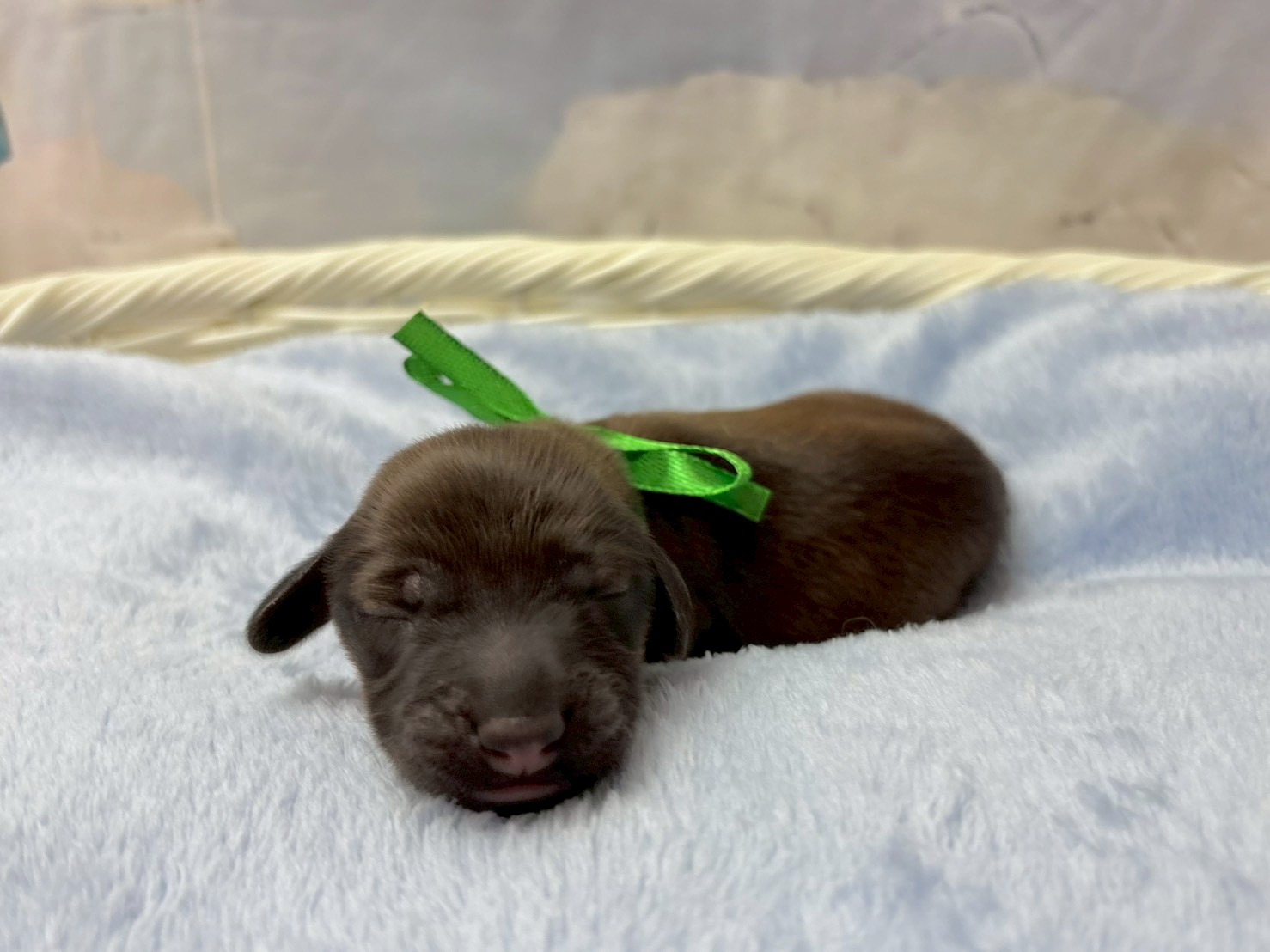 赤ちゃん写真1-2