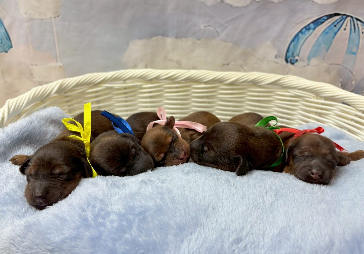 赤ちゃん写真1-3