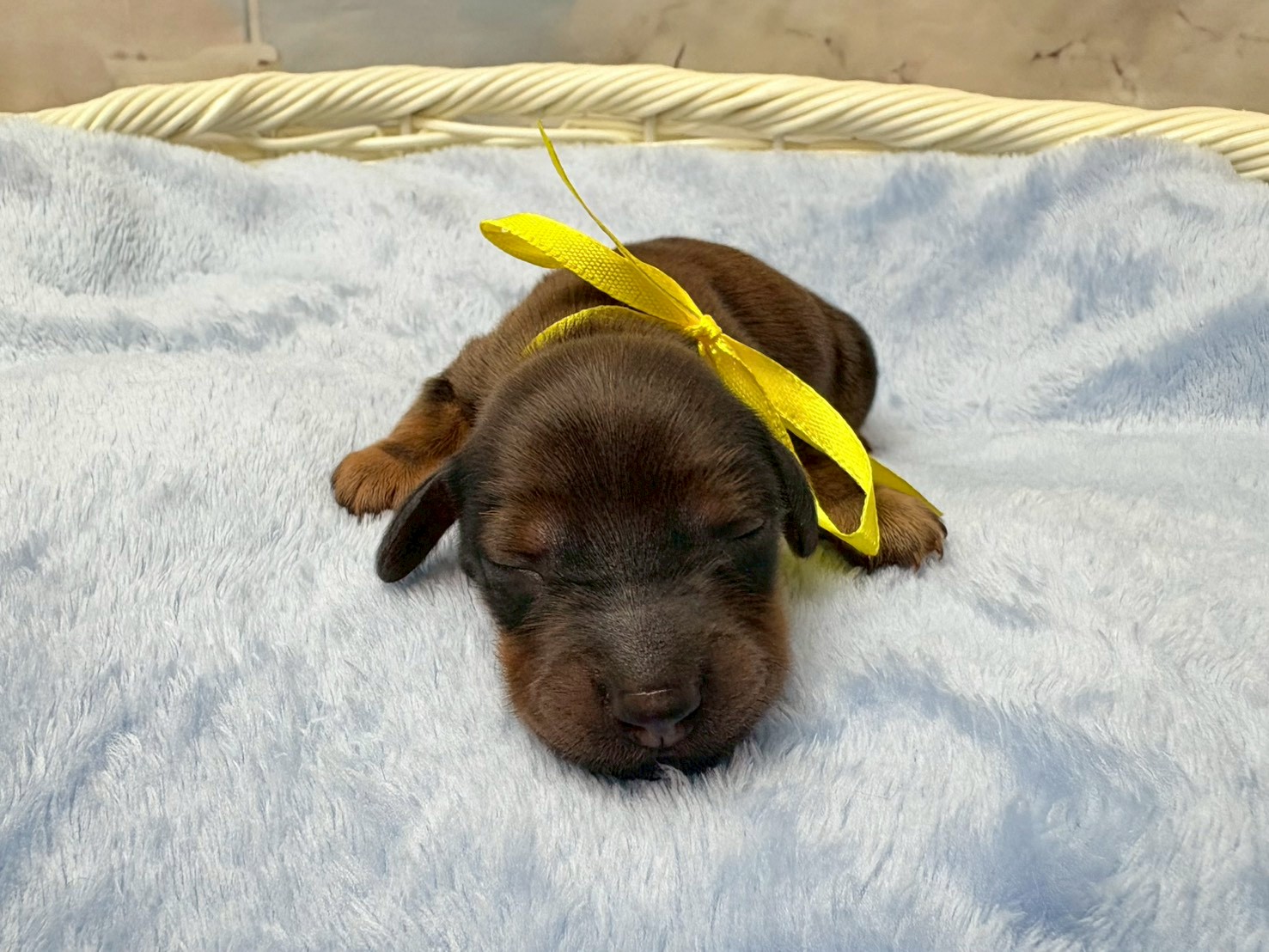 赤ちゃん写真1-1