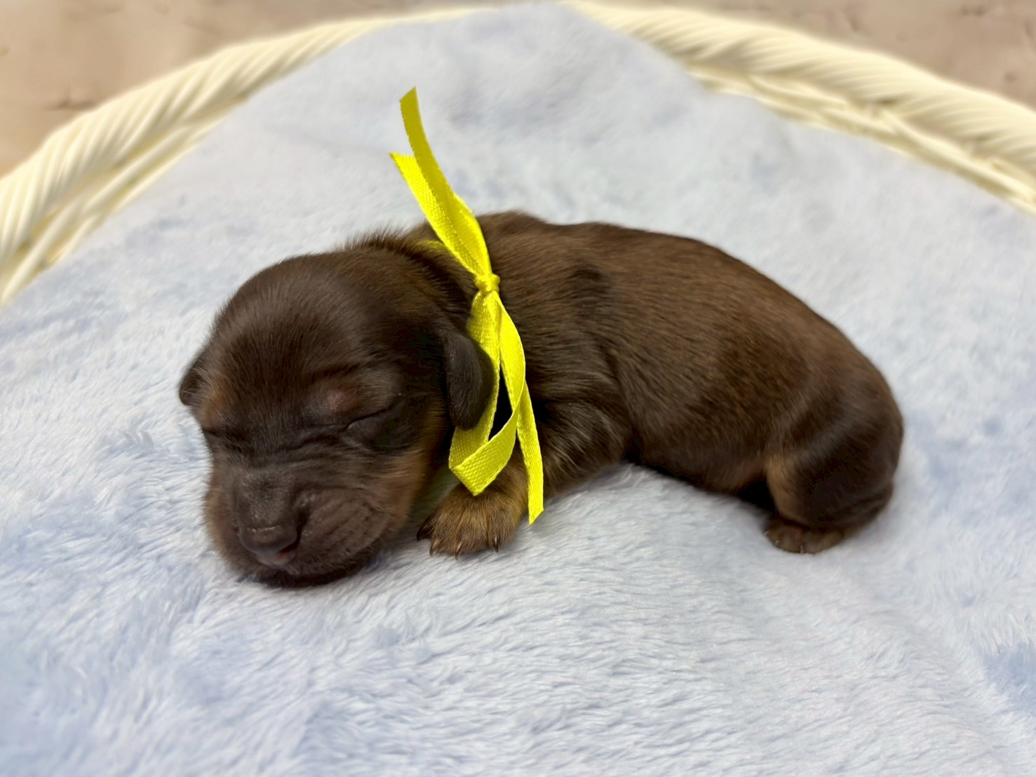 赤ちゃん写真1-2