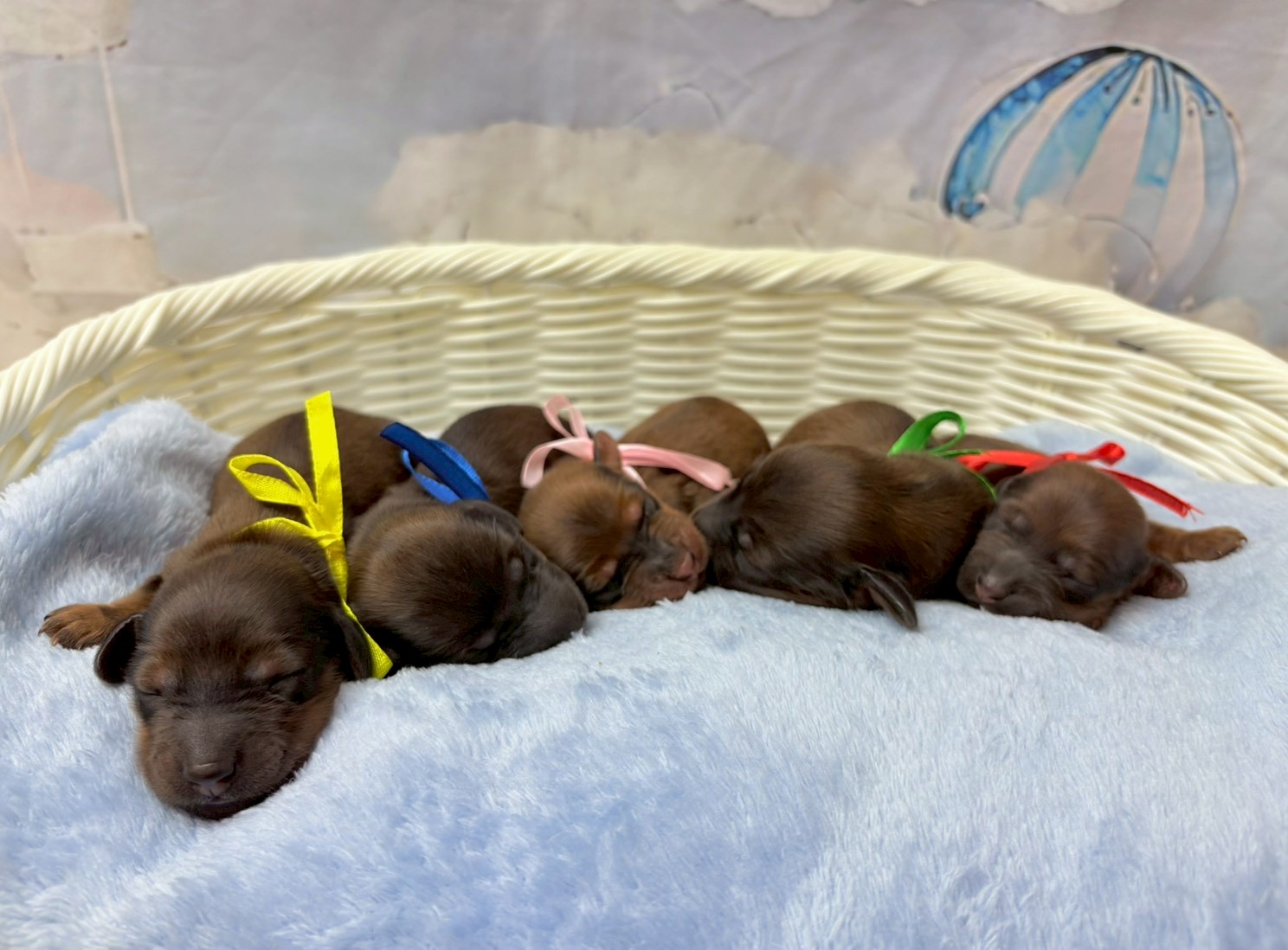 赤ちゃん写真1-3