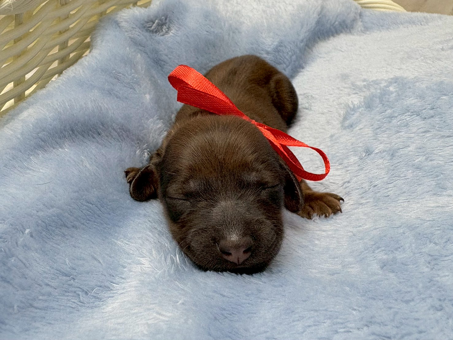 赤ちゃん写真1-1