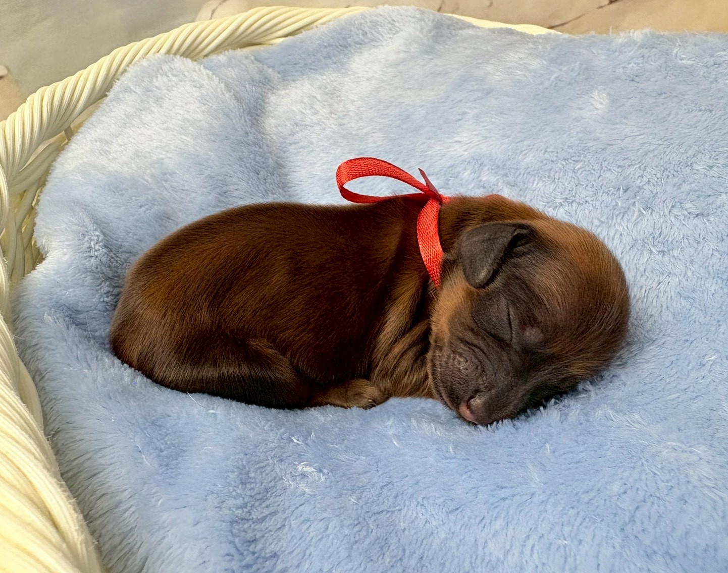 赤ちゃん写真1-2