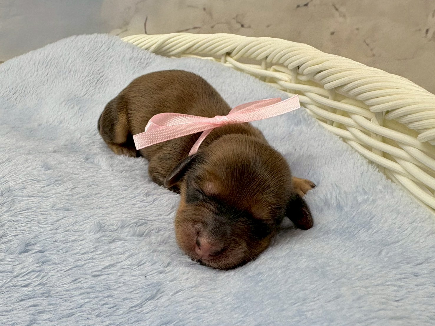 赤ちゃん写真1-1