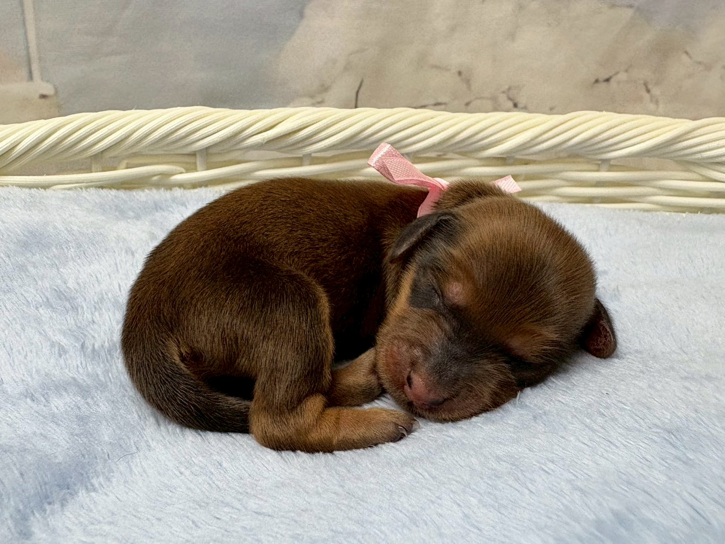 赤ちゃん写真1-2