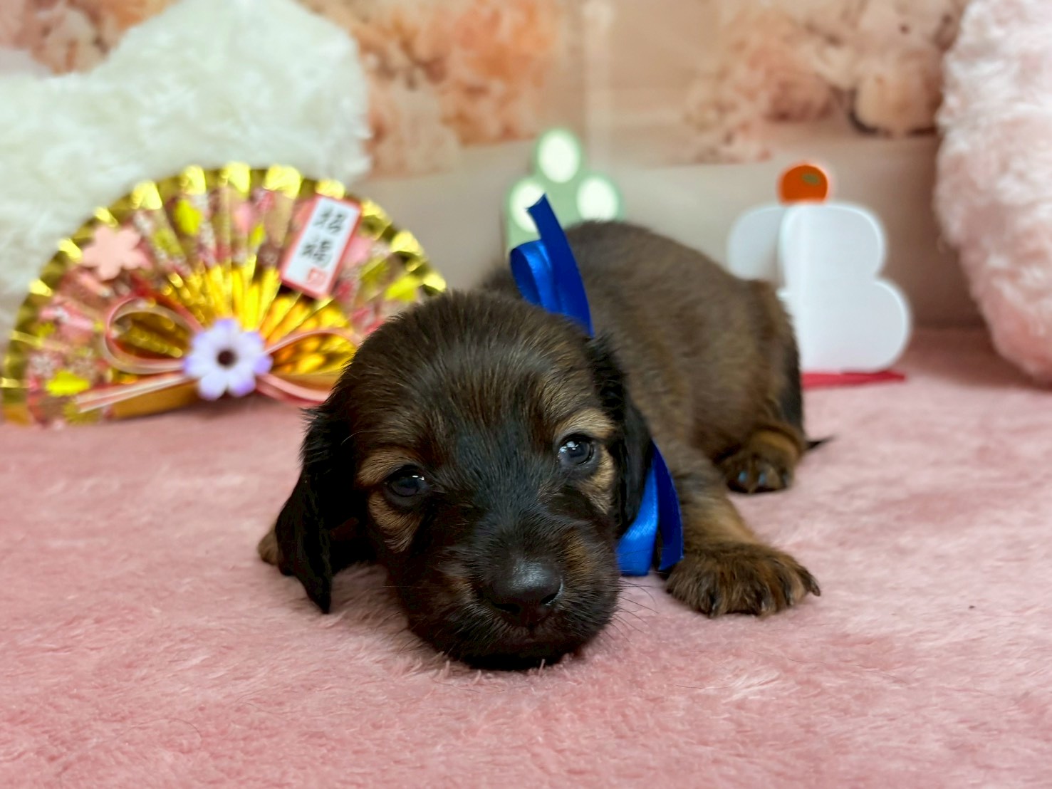 赤ちゃん写真2-1